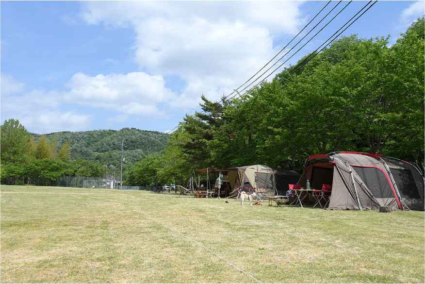 芝生キャンプサイト